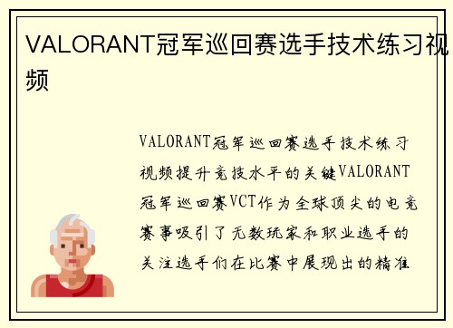 VALORANT冠军巡回赛选手技术练习视频