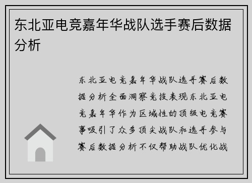 东北亚电竞嘉年华战队选手赛后数据分析